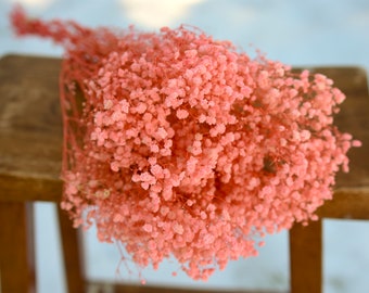 Gypsophile rose stabilisé : agent de comblement naturel de la gypsophilie