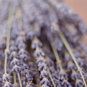 Lavande anglaise séchée, lavande parfumée, bouquet de lavande, lavande maculée, lavande maculée, herbe maculée, tiges de lavande, mariage violet image 3