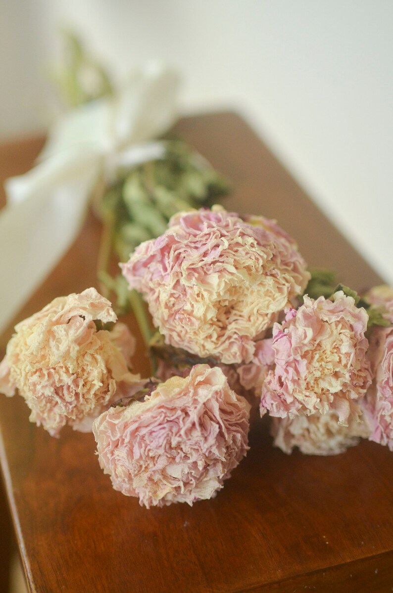 Dried peony bunch Dried peonies for weddings dried flowers for vase dried peony bouquet rose substitute peonies pink peony image 7