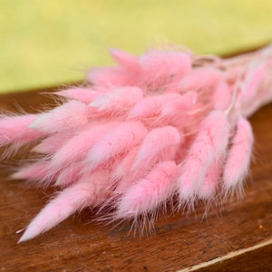 Dried bunny tails, variety of colors, light pink dried flowers, spring dried flowers, dried wedding flowers, dried flwoer bouquet