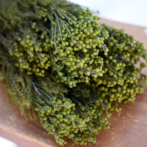 Bunch of preserved green lanuginosa, basil green flowers, greenery, small green flowers, green wedding, wedding decor