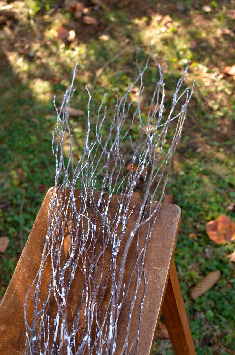 Birch Branches Woody Stems Birch Bundles Twigs Twig Bunch Etsy UK
