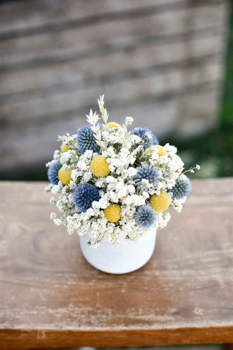 Billy balls and echinops floral pot, Mother's Day flowers, small floral arrangement, spring dried flowers, small centerpiece image 1