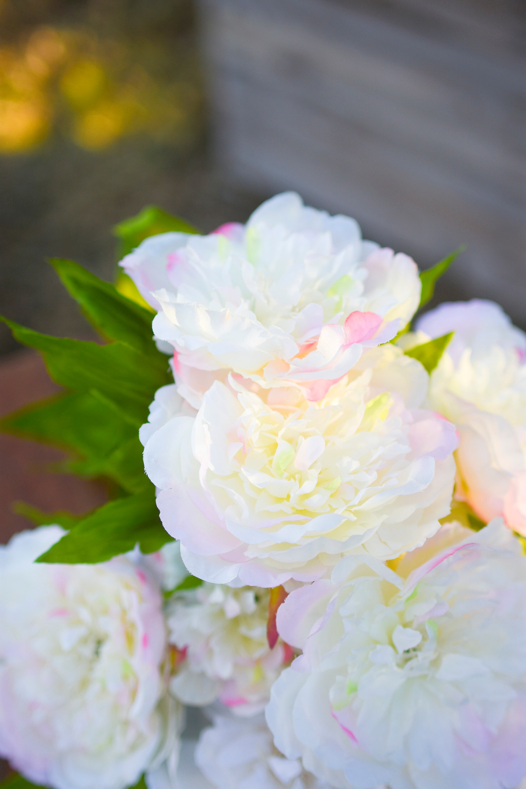Blush pink silk peony flowers pale pink peony silk white Etsy