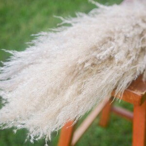 May include: A large bunch of dried pampas grass with fluffy, feathery plumes in a light beige color. The grass is arranged on a wooden stool with a bright orange finish.