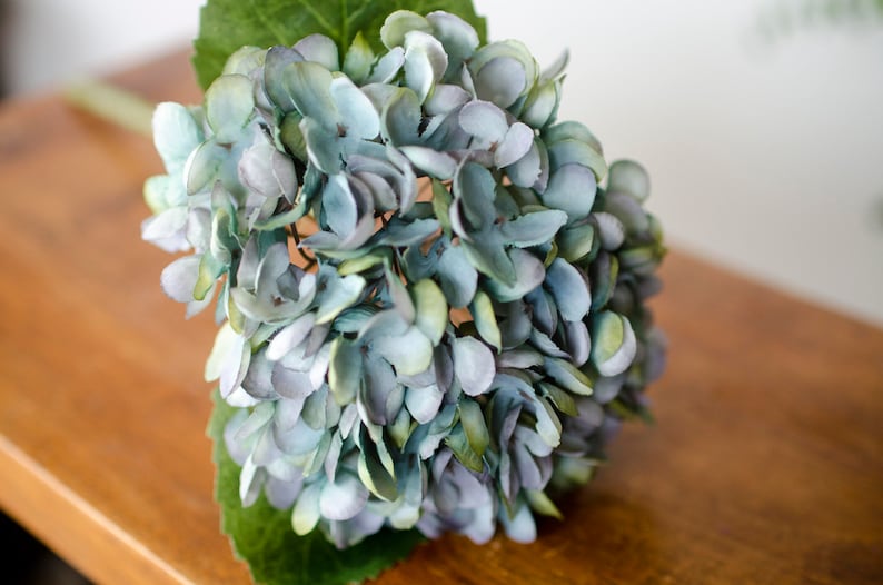 May include: A close-up of a blue and green hydrangea flower with a green stem and leaf. The flower petals are a mix of blue, green, and gray. The flower is sitting on a wooden surface.