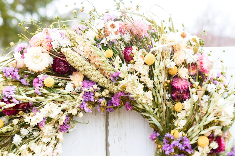 Dried Avena Oats | Grain Bunndles | Long Stems for Fall Wreaths, Rustic Bouquets & Home Decor image 19