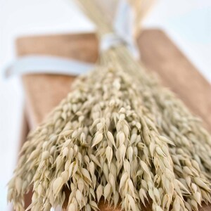 Dried oats tied with a gray satin ribbon laying on a bench.