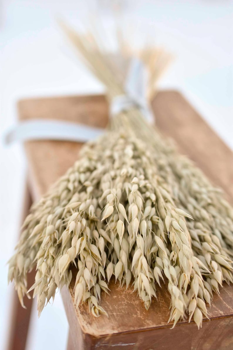 Dried oats tied with a gray satin ribbon laying on a bench.