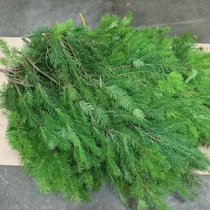 Douglas fir boughs, fresh fir branches, Christmas greenery, holiday greenery,  fresh greenery, porch pot greens