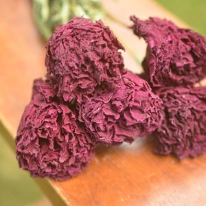 Dried peony bunch Dried peonies for weddings dried flowers for vase dried peony bouquet rose substitute peonies pink peony Burgundy