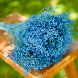 Dried Blue Baby&#39;s Breath Bunch: Wedding Bouquet Filler