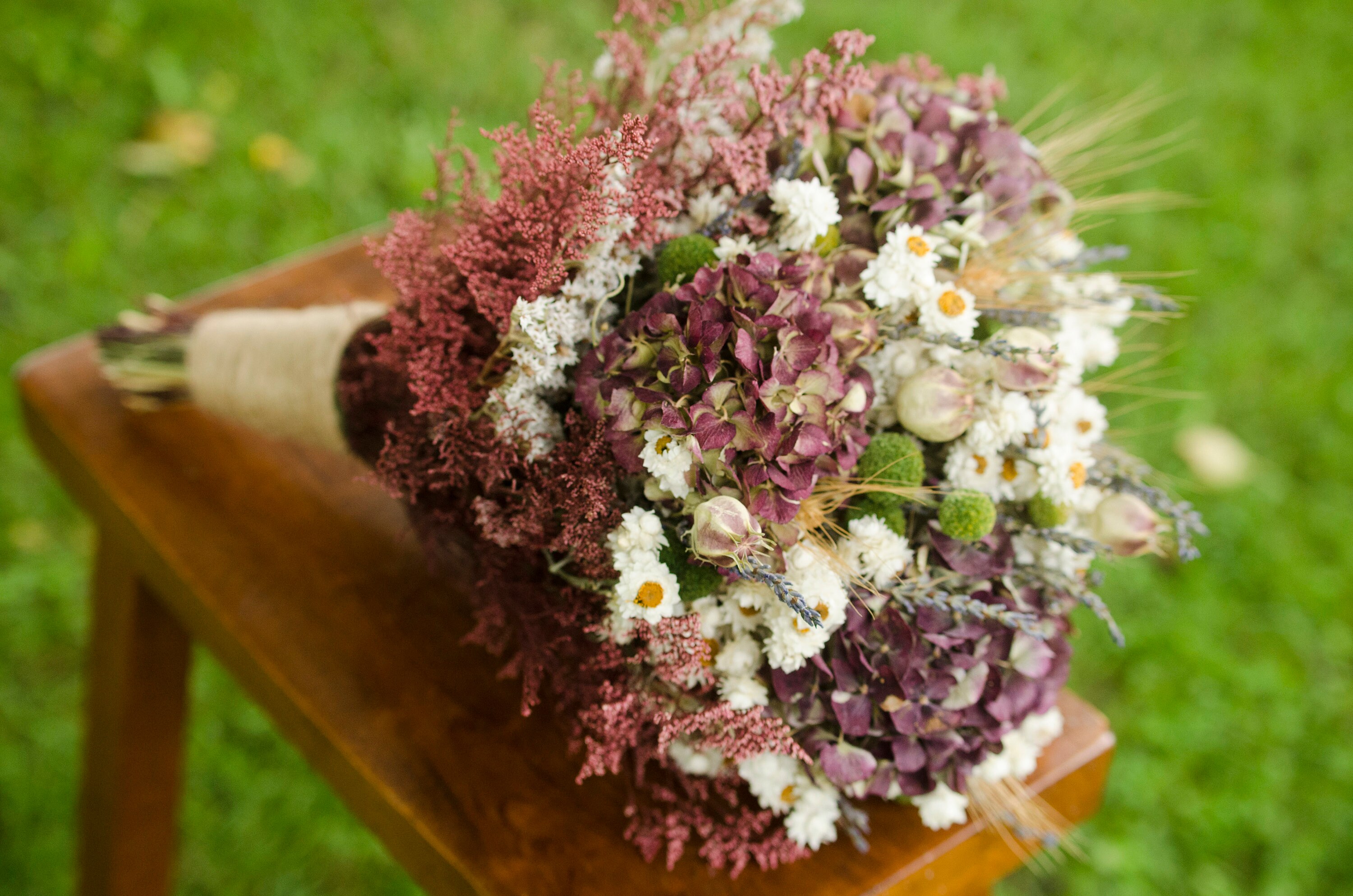Dried Hydrangea Flower Bunch - Burgundy Color