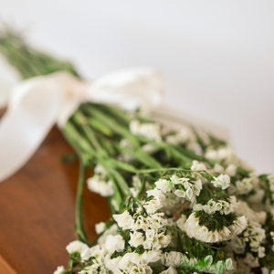 May include: A bouquet of white statice flowers with green stems tied together with a white ribbon. The small, papery white blossoms are clustered densely at the ends of the long, slender green stalks, creating a textured floral arrangement.