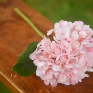 Light Pink silk hydrangea, pink hydrangea, spring flowers, silk hydrangeas, artificial hydrangeas, faux hydrangeas image 2