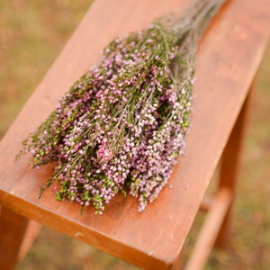 Bunch of preserved pink heather, pink heather, pink wedding flowers, spring wedding flowers, scottish flowers, scottish wedding flowers