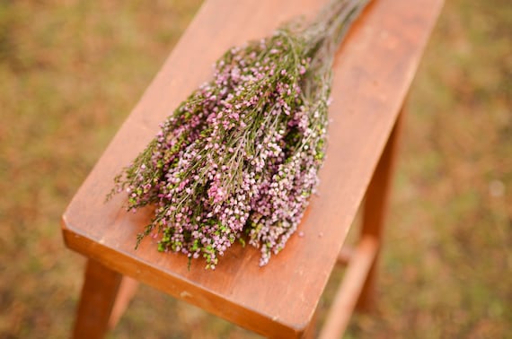 Bunch of preserved pink heather, pink heather, pink wedding flowers, spring wedding flowers, scottish flowers, scottish wedding flowers