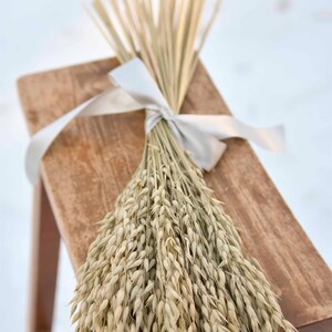 Dried oats tied with a gray satin ribbon laying on a bench.