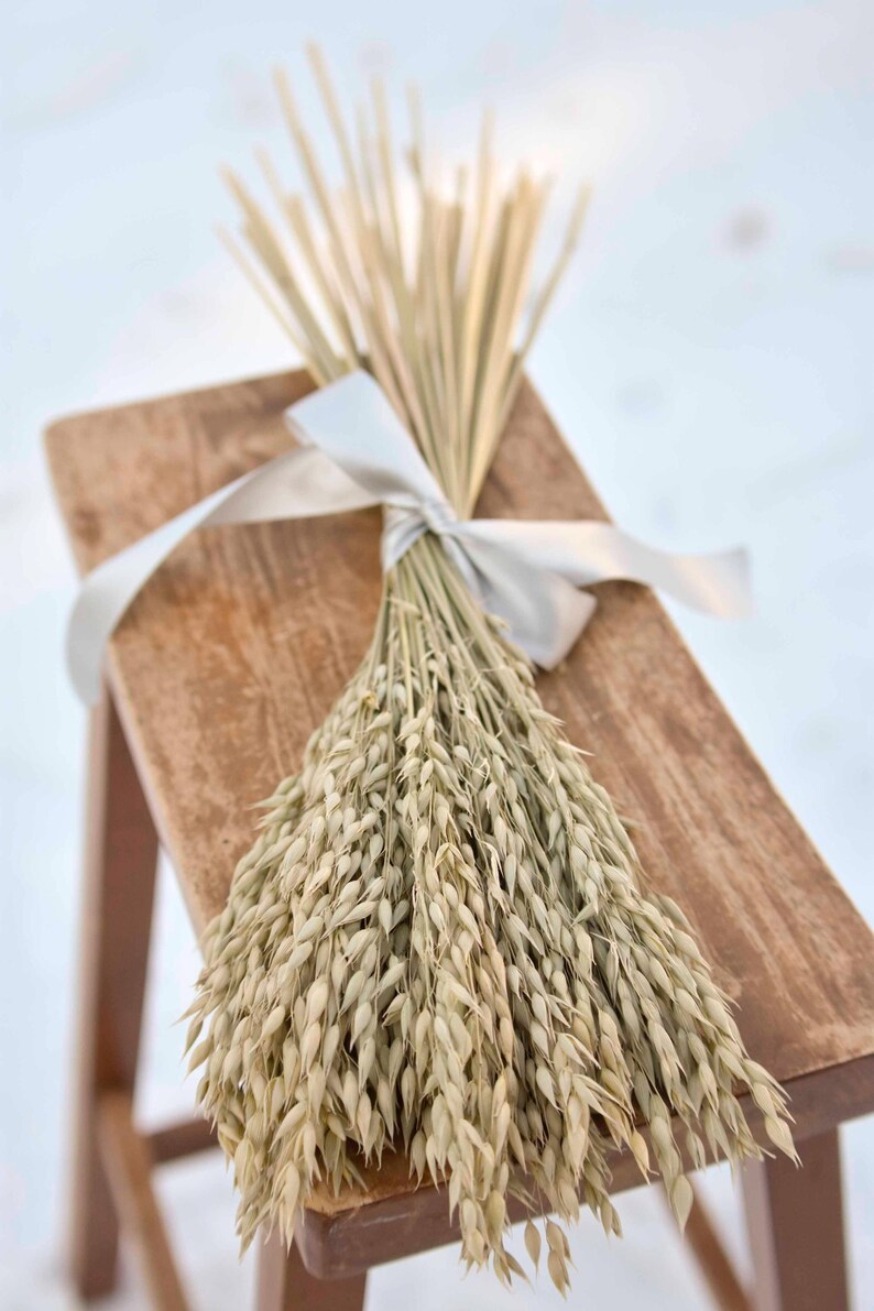 Dried oats tied with a gray satin ribbon laying on a bench.