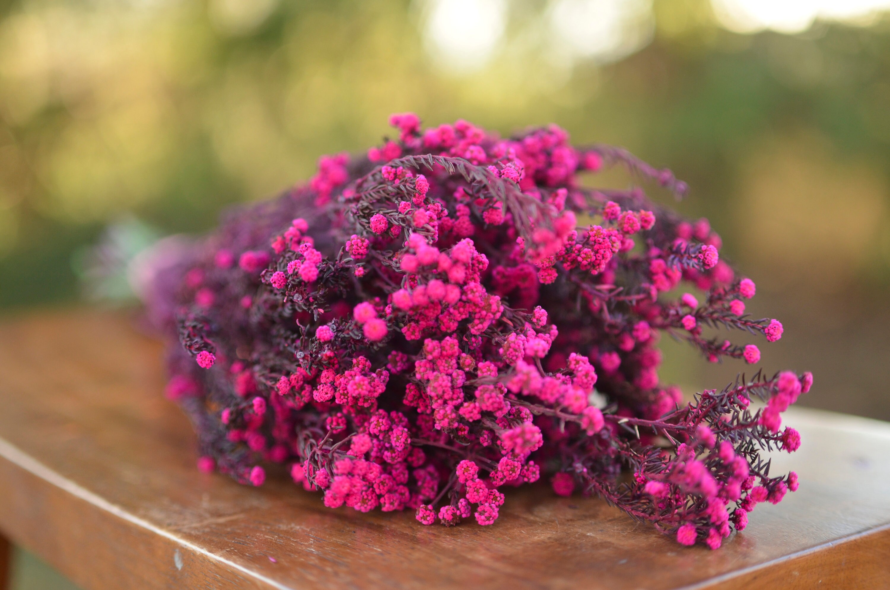 Small pink flowers discount