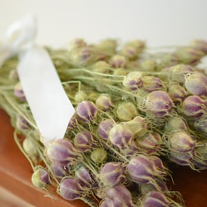 Bunch of dried nigella, love-in-a-mist, love in a mist,  wedding decor