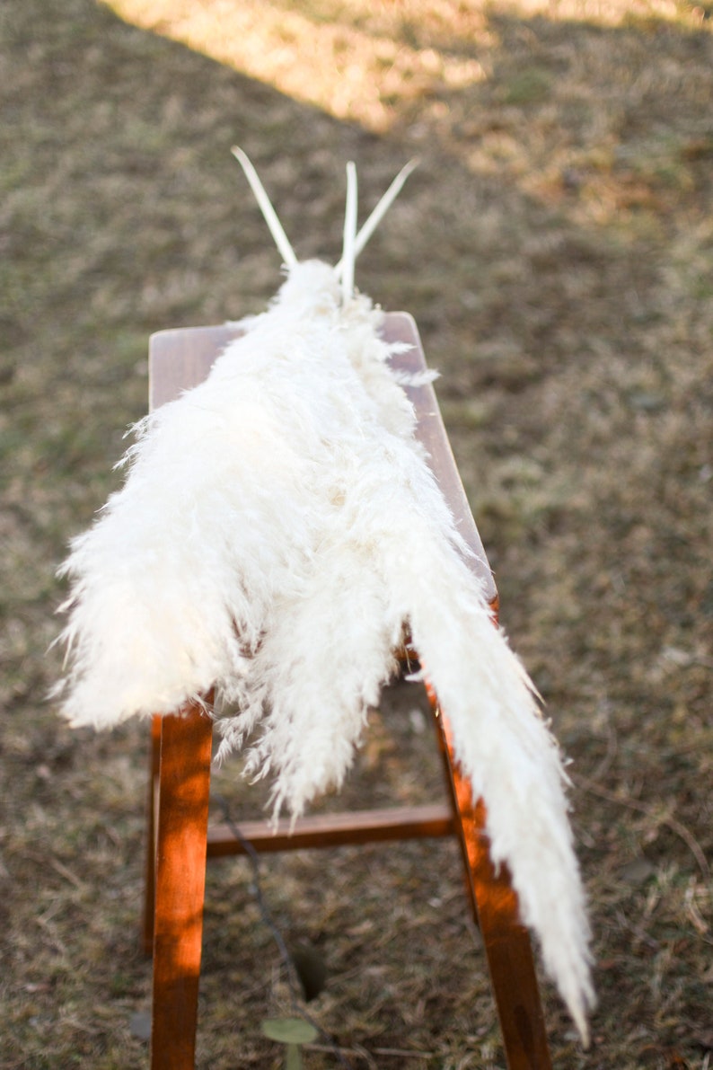 May include: A fluffy, cream-colored pampas grass arrangement rests on a small, wooden stool. The dried floral stems have a soft, feathery texture. The stool is made of dark wood with a reddish-brown finish.