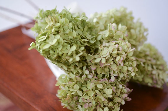 A mix of dried and fresh hydrangeas for a summer mantel
