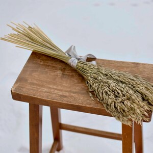 Dried oat bundle tied with a gray satin ribbon.