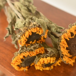 Dried Sunflowers, dried sunflower, sunflower dried, sunflower wedding decor, fall wedding, yellow dried flowers image 3