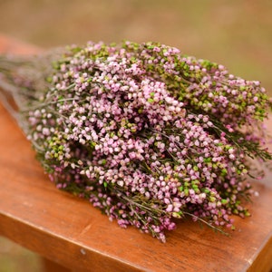 Bukett konserverad rosa ljung, rosa ljung, rosa bröllopsblommor, vårbröllopsblommor, skotska blommor, skotska bröllopsblommor bild 4