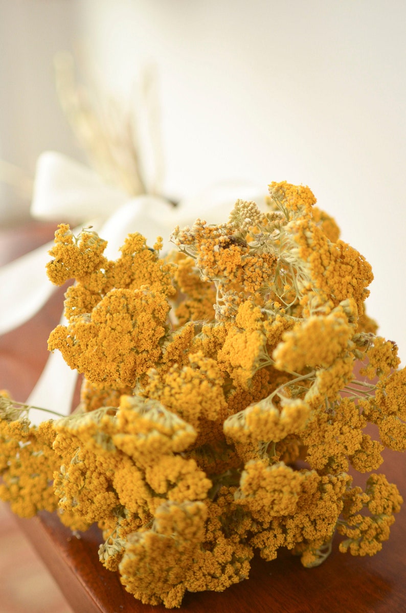 Dried Yarrow Bunch, dried yarrow, golden flowers, gold flowers, yellow dried flowers, yellow wedding flowers image 1