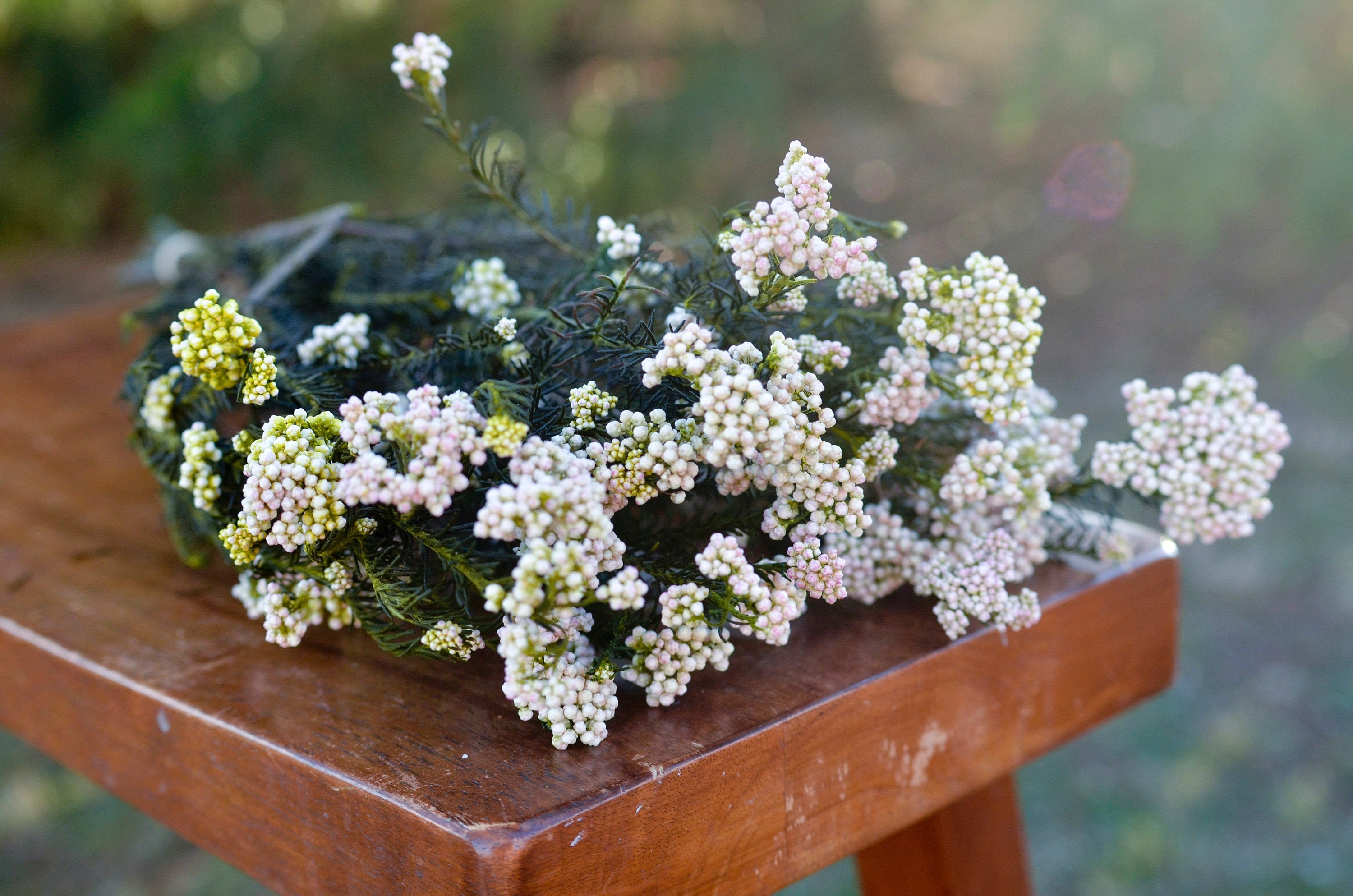 Preserved blush pink rice flower pale pink flowers wedding Etsy