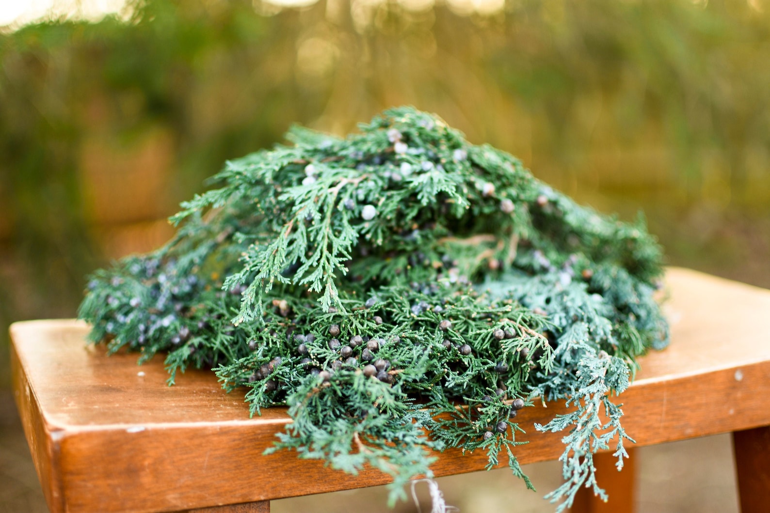 Preserved juniper winter greenery preserved greenery Etsy