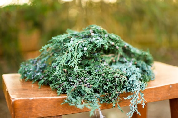 Fragrant Preserved Juniper Greenery: Winter Wreath Supplies