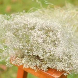 Natural dried baby's breath, unbleached baby's breath, silver flowers, gray flowers, filler dried flowers, dried gypsophilia, dried flowers image 4