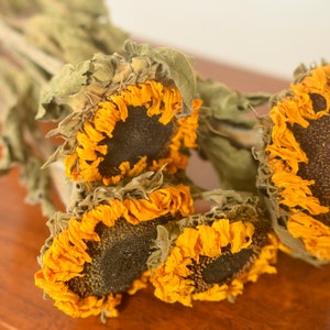 Dried Sunflowers, dried sunflower, sunflower dried, sunflower wedding decor, fall wedding, yellow dried flowers image 2