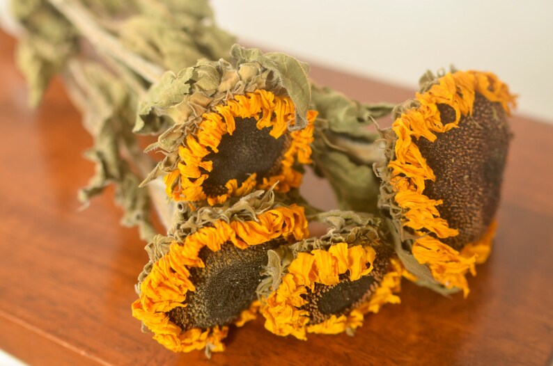 Dried Sunflowers, dried sunflower, sunflower dried, sunflower wedding decor, fall wedding, yellow dried flowers image 2