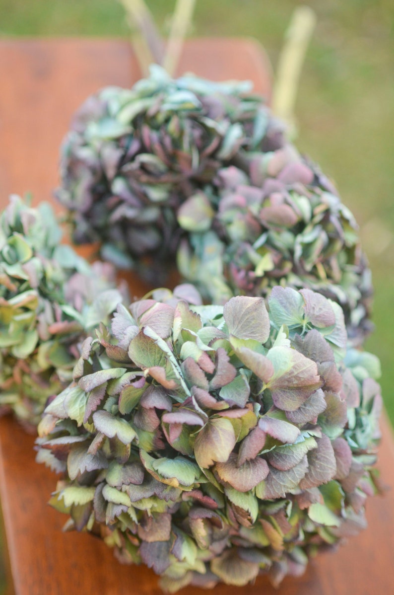 Bunch of Natural Dried Blue Hydrangea Blue Decor Blue Etsy