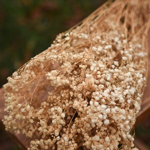 Natural Preserved Baby&#39;s Breath: Straw Colored Gypsophilia