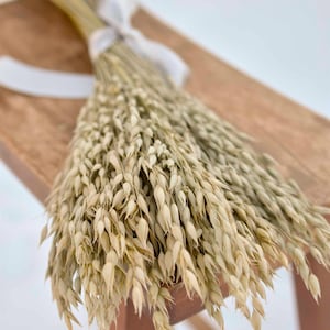 Dried oats tied with a gray satin ribbon laying on a bench.