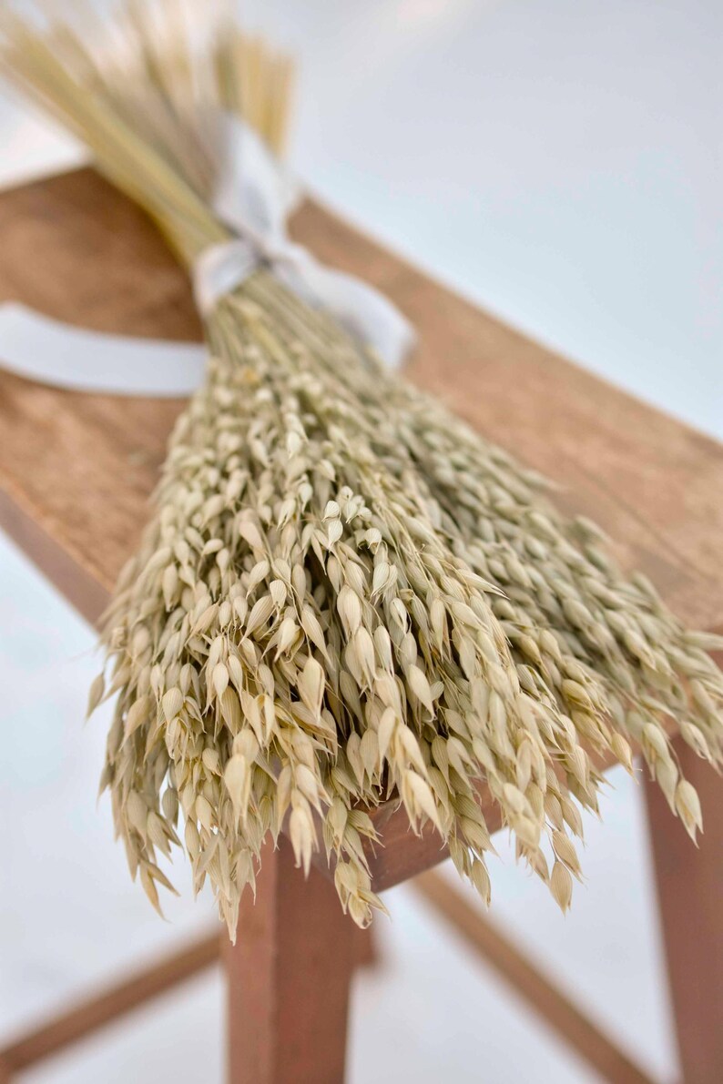 Dried oats tied with a gray satin ribbon laying on a bench.