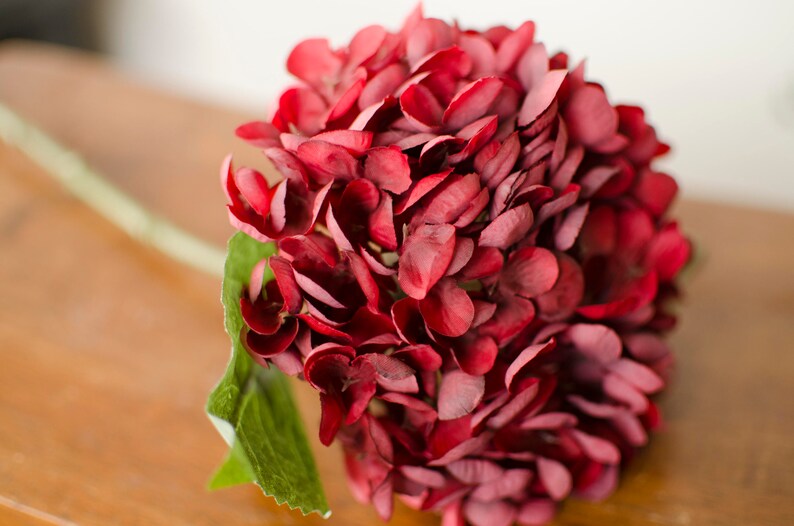 Red Silk Hydrangea Red Hydrangea Valentines Day Flowers Etsy Denmark