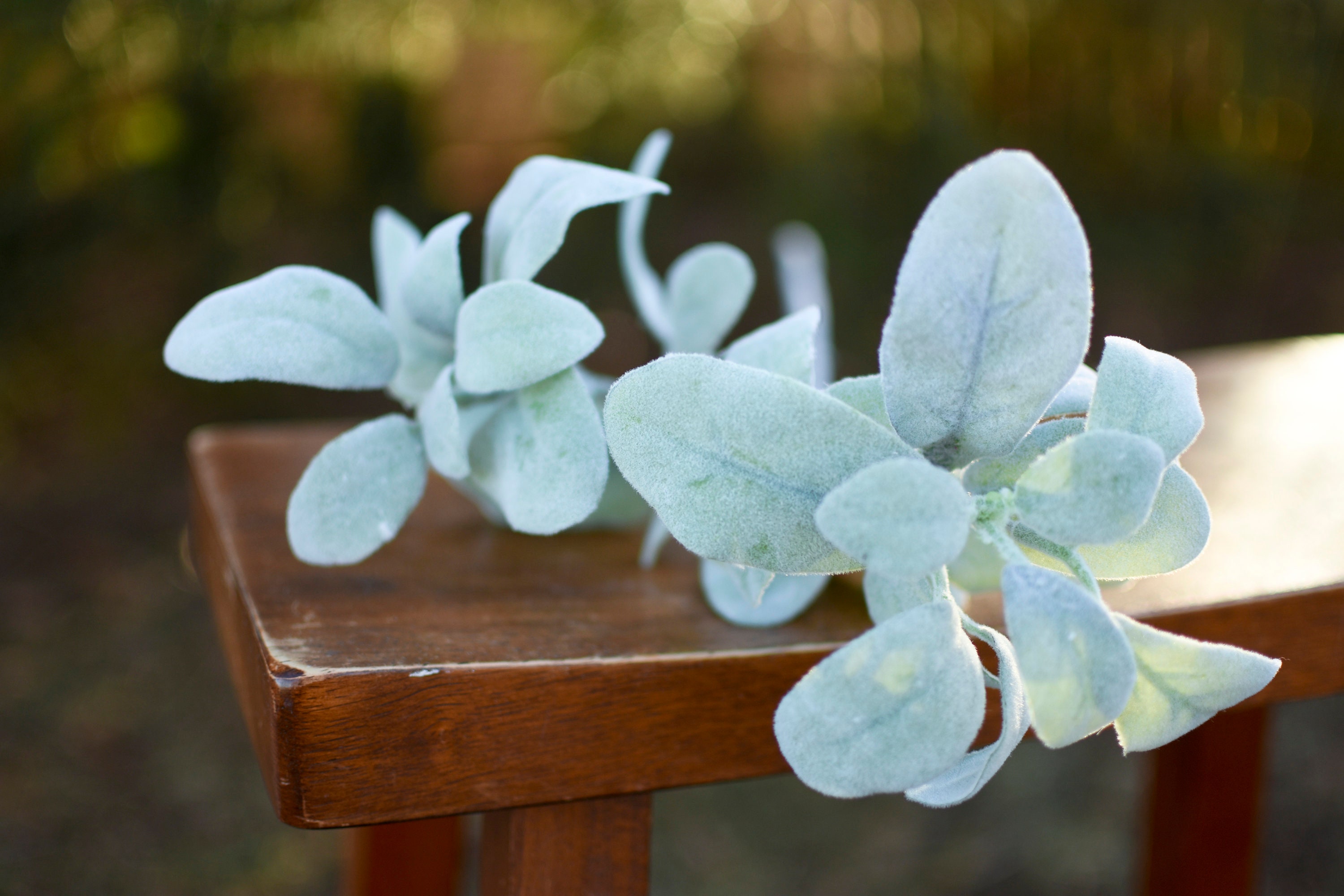 Artificial Lamb's Ear Faux Greenery for Spring Etsy UK