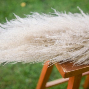 May include: A bunch of dried pampas grass with long, feathery plumes in a light beige color. The grass is arranged on a wooden stool.