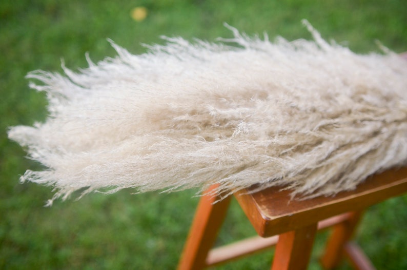 May include: A bunch of dried pampas grass with long, feathery plumes in a light beige color. The grass is arranged on a wooden stool.