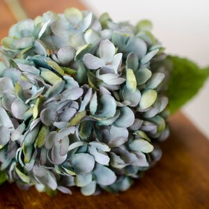 May include: A close-up of a blue and green hydrangea flower. The flower has many small petals and is surrounded by green leaves. The flower is on a wooden surface.