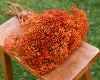 Preserved autumn orange broom bloom, orange flowers, wedding flowers, filler, dried flower filler, orange dried flowers