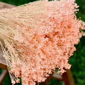 Peach Dried Baby&#39;s Breath Bunch: Wedding Bouquet Flower Filler