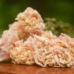 Dried peony bunch Dried peonies for weddings dried flowers for vase dried peony bouquet rose substitute peonies pink peony image 8