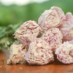 Dried peony bunch Dried peonies for weddings dried flowers for vase dried peony bouquet rose substitute peonies pink peony Light Pink